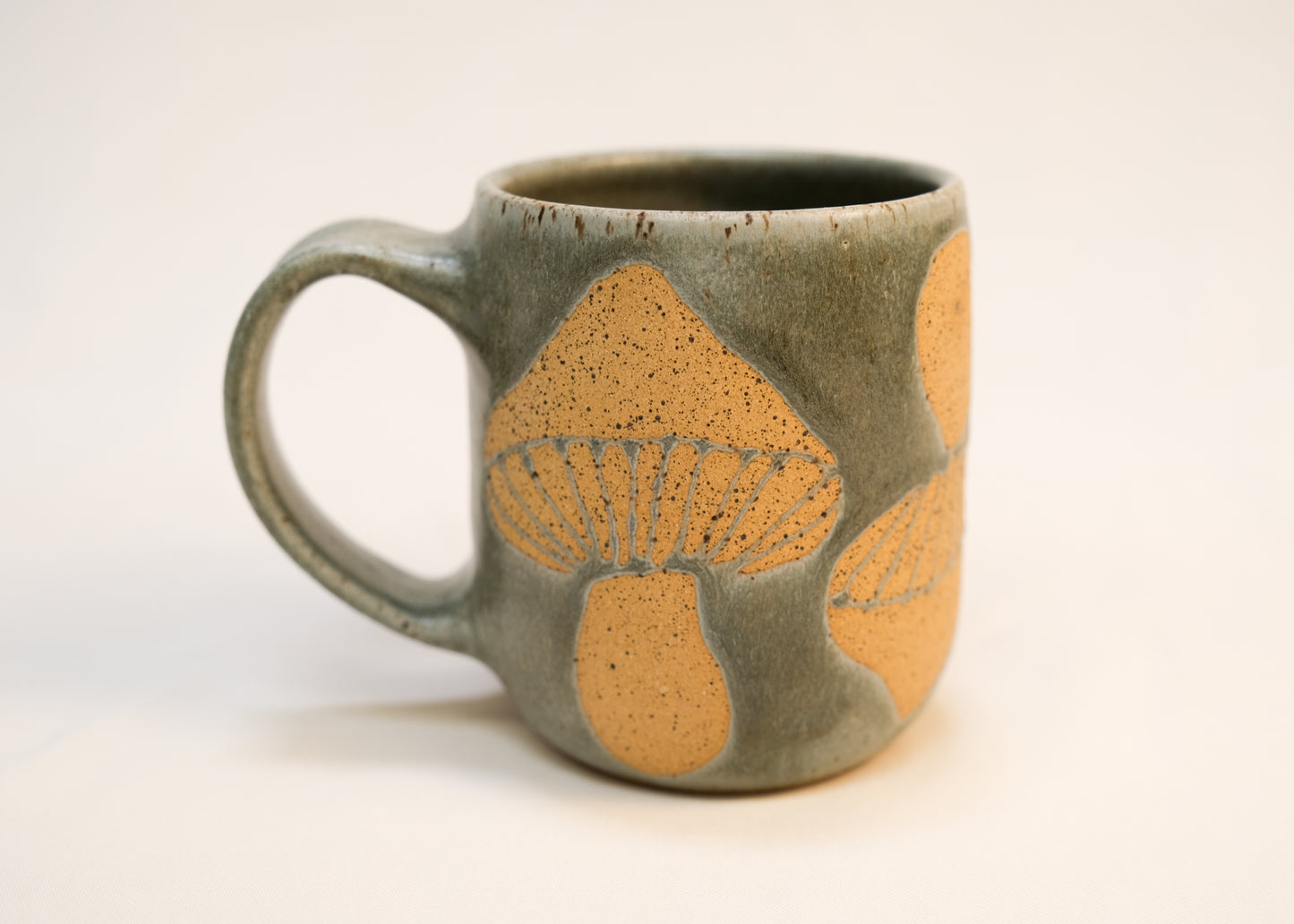 Fog Mushroom Big Mug