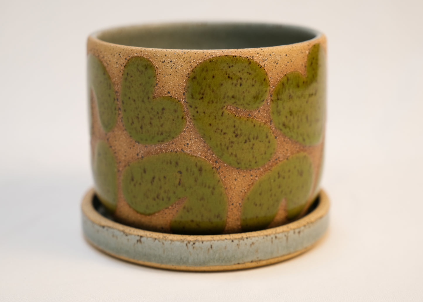 Small Speckled Spinach Noodle Planter