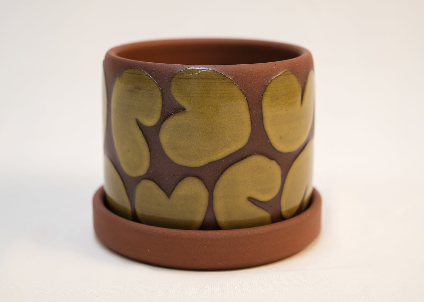 Small Yellow Noodle Planter