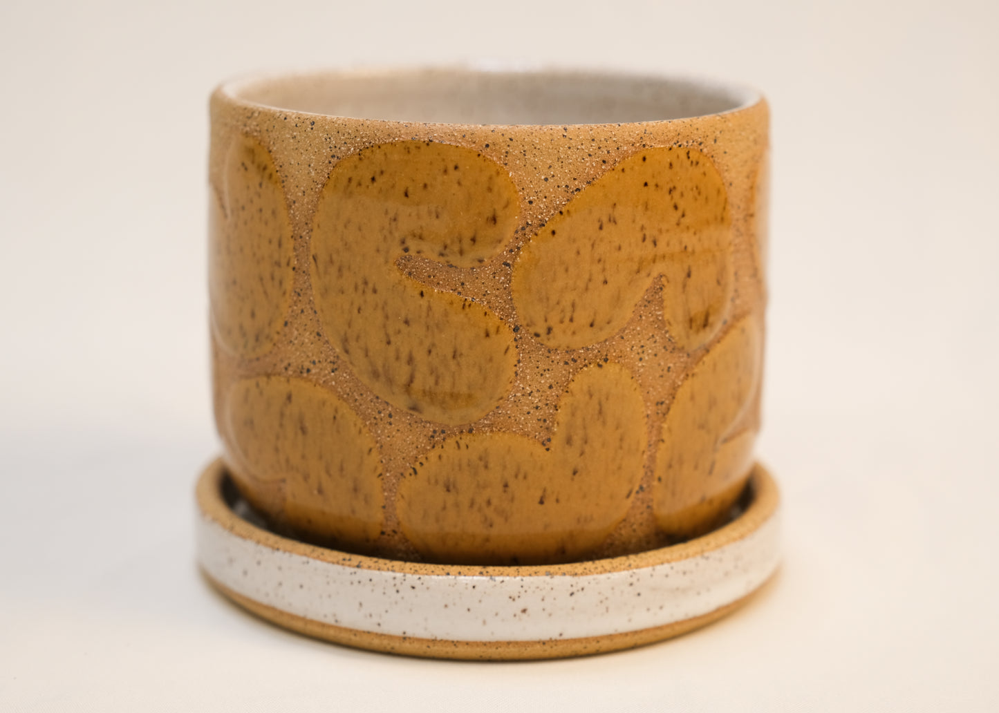 Small Speckled Yellow Noodle Planter